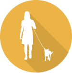 サービス当日・報告書の作成